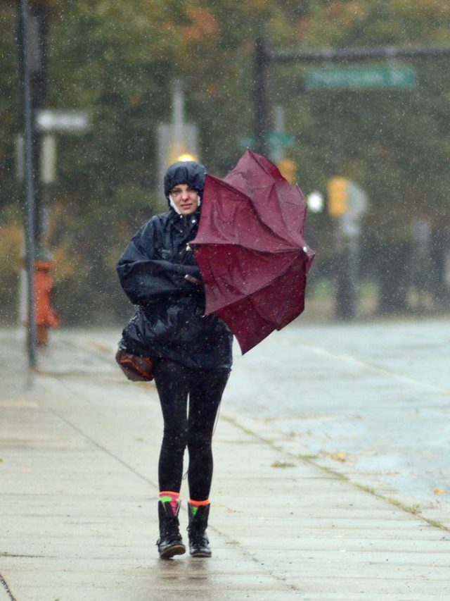 How to prepare for power outage in washington after bomb cyclone